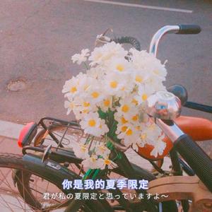 在线播放欧美伦理性爱禁区
